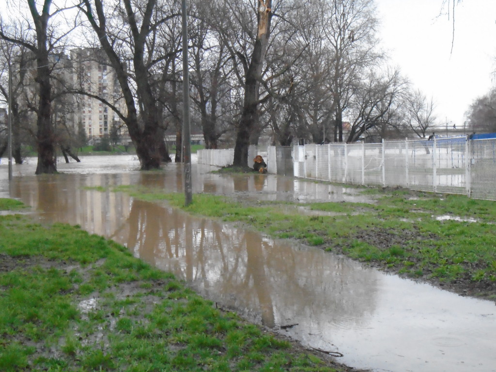 Morava stigla do bazena