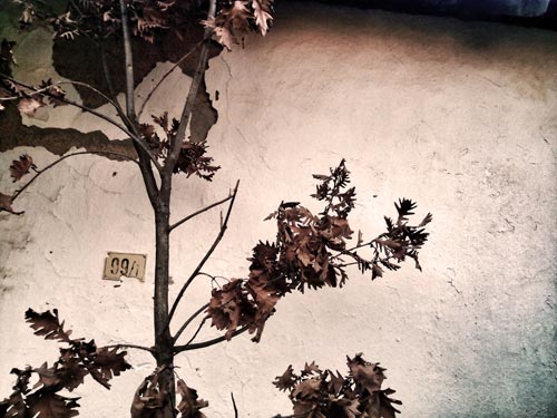 Otvorena_izlozba_ucenickih_fotografija Otvorena_izlozba_ucenickih_fotografija